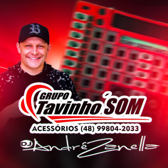 Grupo Tavinho Som
