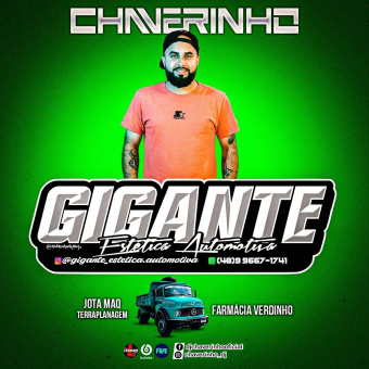 Gigante Estética Automotiva