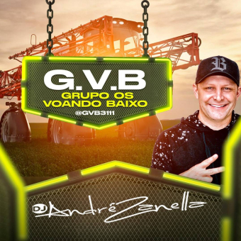 GVB - Grupo Os Voando Baixo