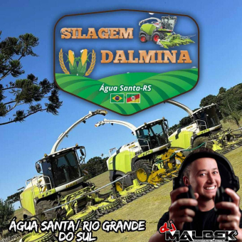 SILAGEM DALMINA