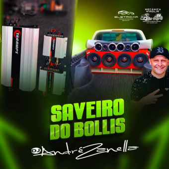 Saveiro do Bollis